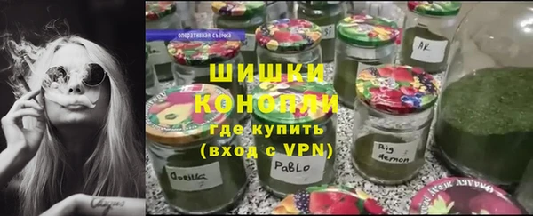 прущие грибы Майский