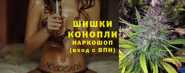 прущие грибы Майский
