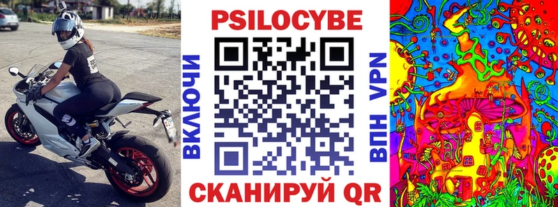 Галлюциногенные грибы мицелий  купить закладку  Фокино 